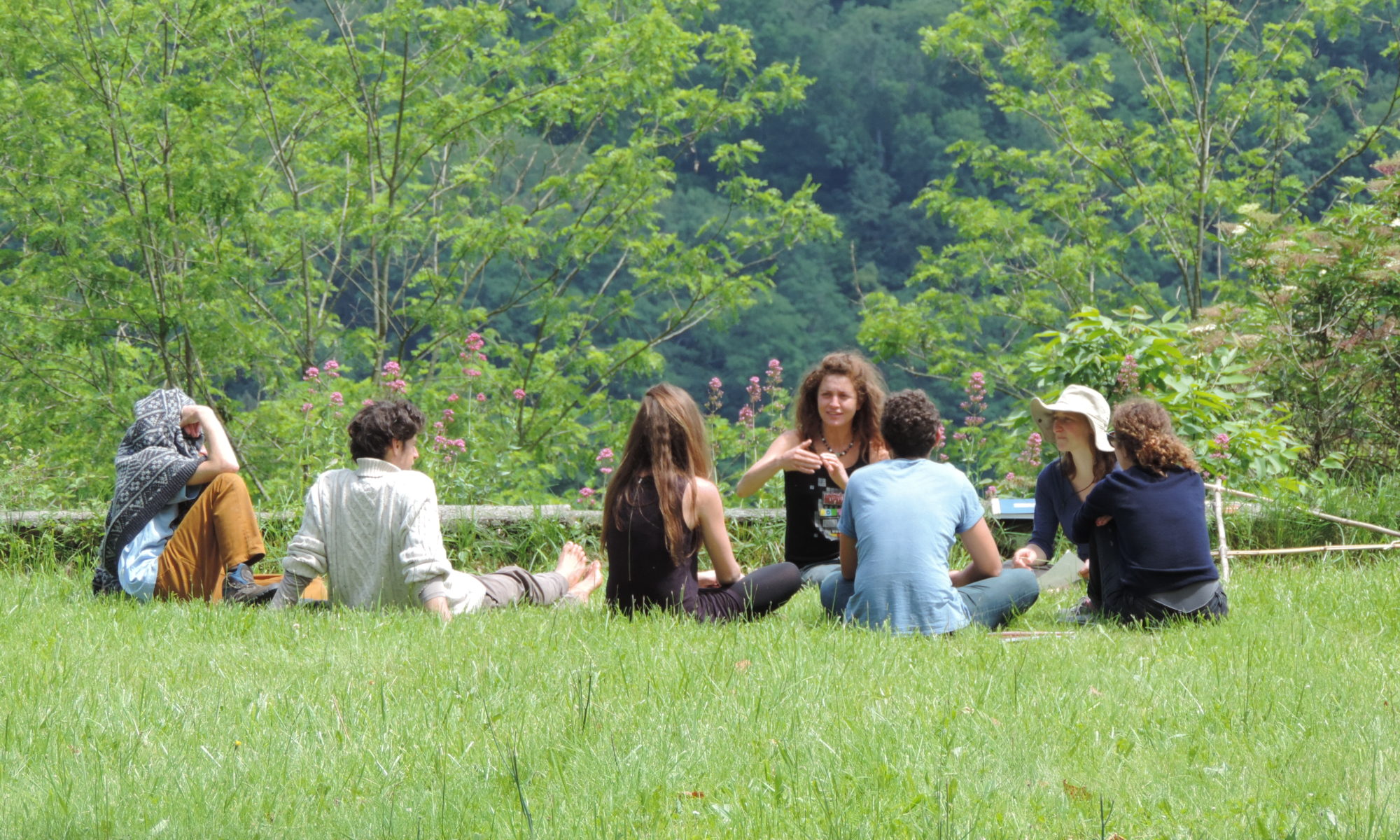 formation en petits groupes