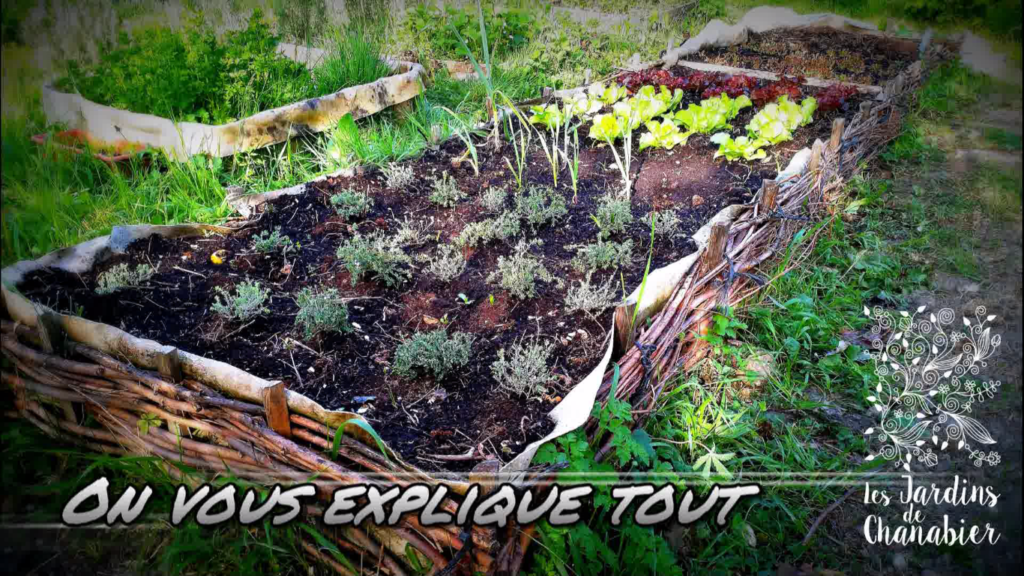 Vidéo On vous explique !