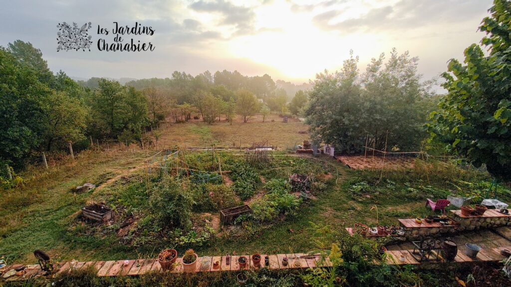 Jardin Solidaire et Partagé