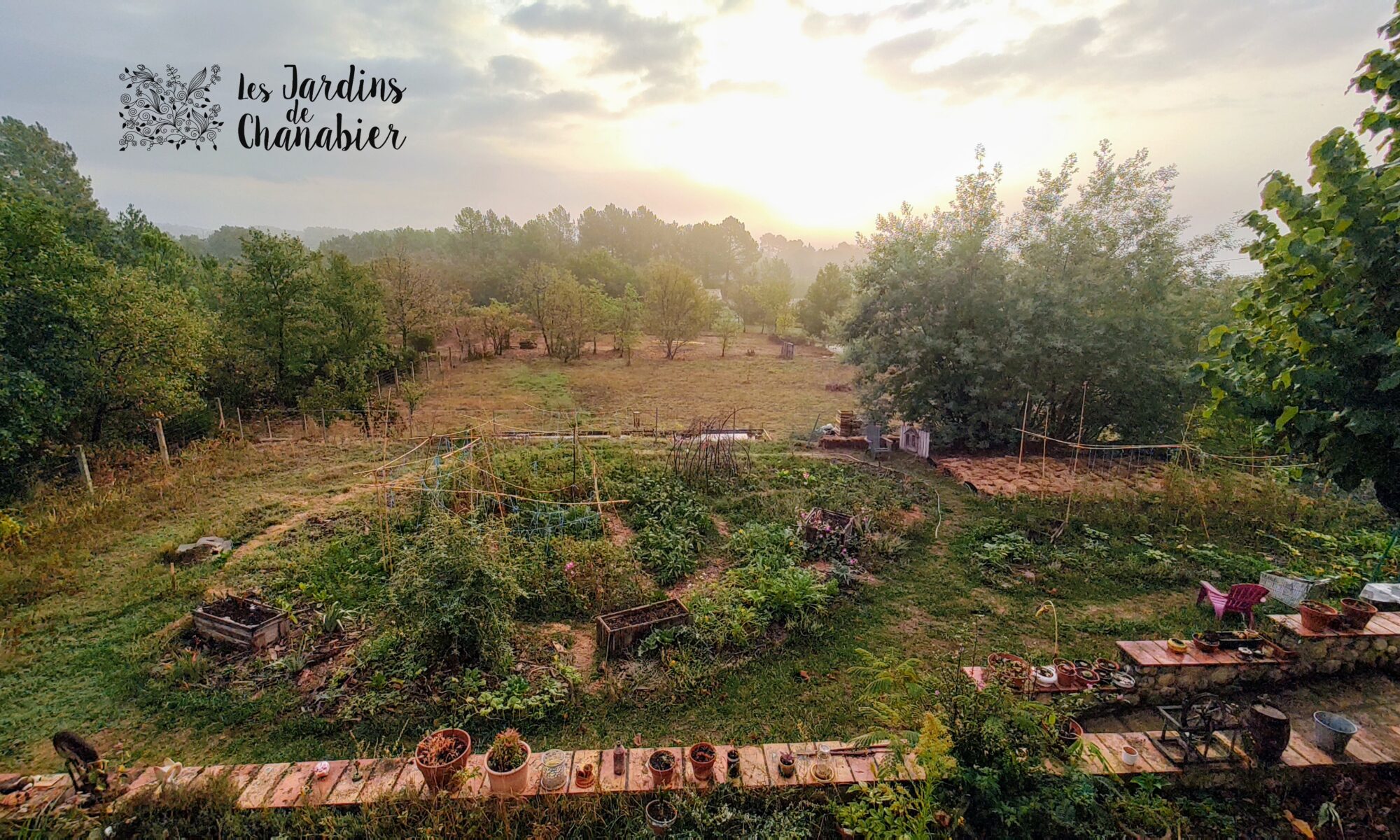 Jardin Solidaire et Partagé